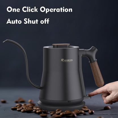 Gooseneck Stainless Steel Electric Kettle